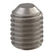 D/L SET SCREW